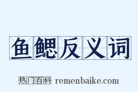 鱼鳃反义词是什么意思的图片